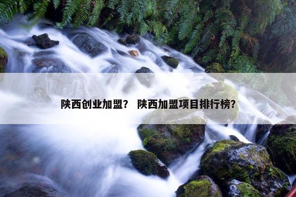 陕西创业加盟？ 陕西加盟项目排行榜？