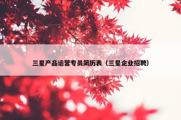 三星产品运营专员简历表（三星企业招聘）