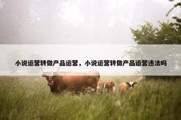 小说运营转做产品运营，小说运营转做产品运营违法吗