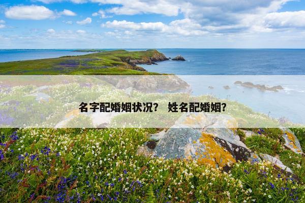名字配婚姻状况？ 姓名配婚姻？