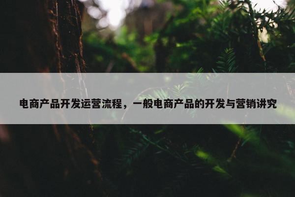 电商产品开发运营流程，一般电商产品的开发与营销讲究