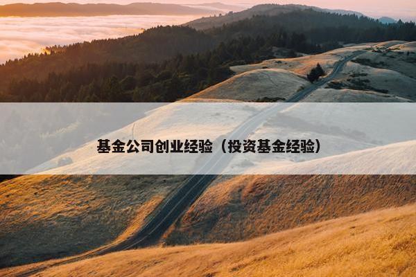 基金公司创业经验（投资基金经验）