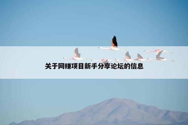 关于网赚项目新手分享论坛的信息