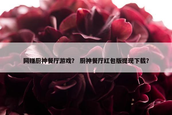 网赚厨神餐厅游戏？ 厨神餐厅红包版提现下载？