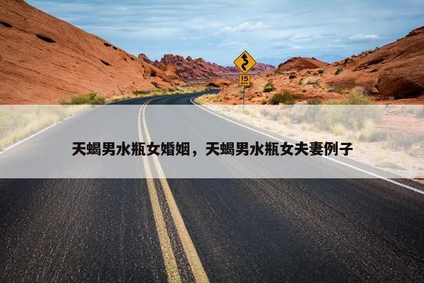 天蝎男水瓶女婚姻，天蝎男水瓶女夫妻例子