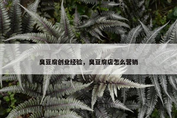 臭豆腐创业经验，臭豆腐店怎么营销