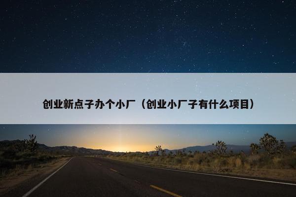 创业新点子办个小厂（创业小厂子有什么项目）