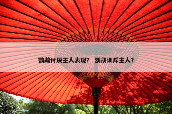 鹦鹉讨厌主人表现？ 鹦鹉训斥主人？