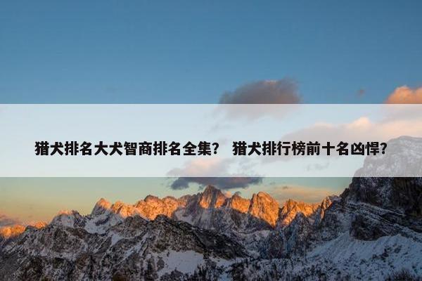 猎犬排名大犬智商排名全集？ 猎犬排行榜前十名凶悍？