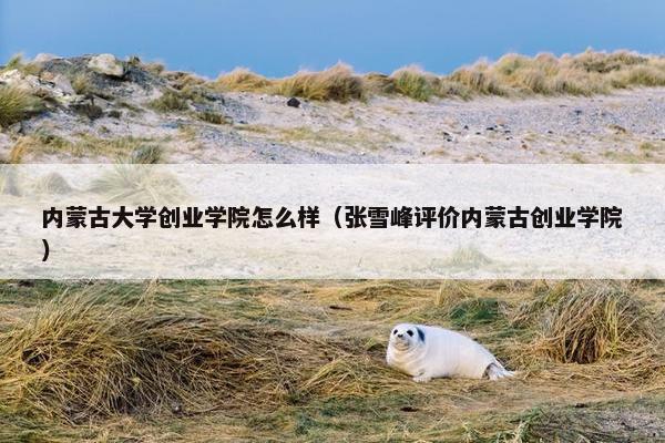 内蒙古大学创业学院怎么样（张雪峰评价内蒙古创业学院）