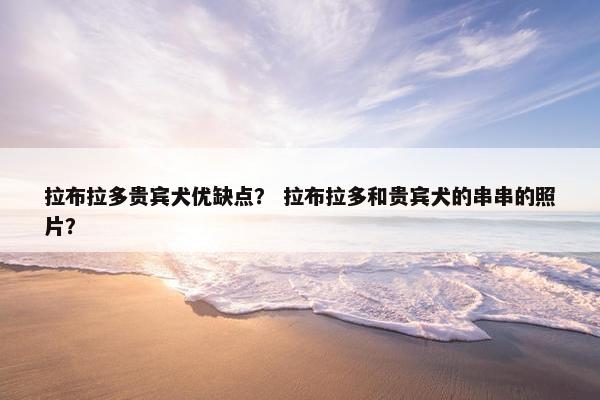 拉布拉多贵宾犬优缺点？ 拉布拉多和贵宾犬的串串的照片？