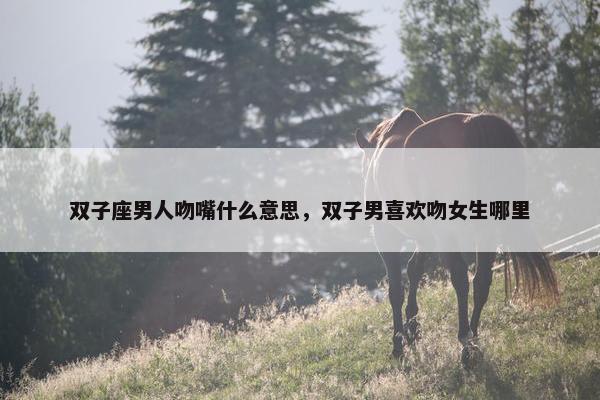 双子座男人吻嘴什么意思，双子男喜欢吻女生哪里