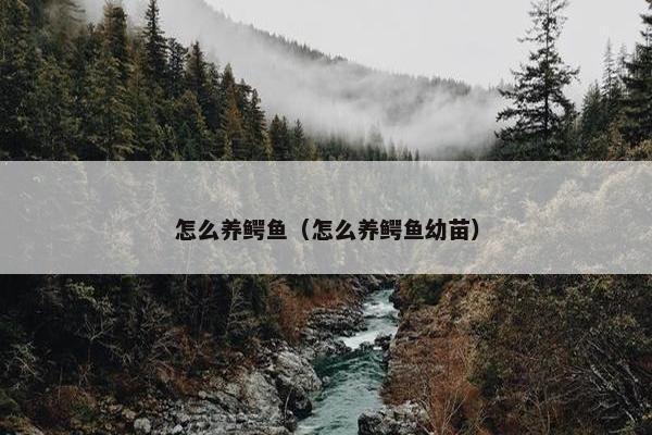 怎么养鳄鱼（怎么养鳄鱼幼苗）