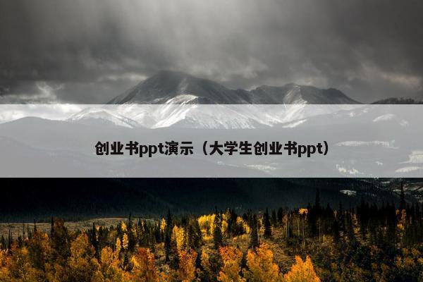 创业书ppt演示（大学生创业书ppt）