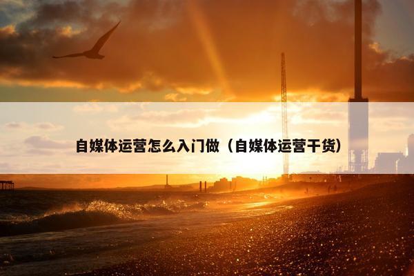 自媒体运营怎么入门做（自媒体运营干货）
