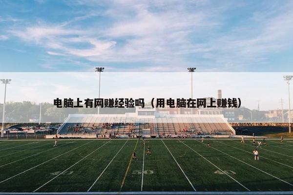 电脑上有网赚经验吗（用电脑在网上赚钱）