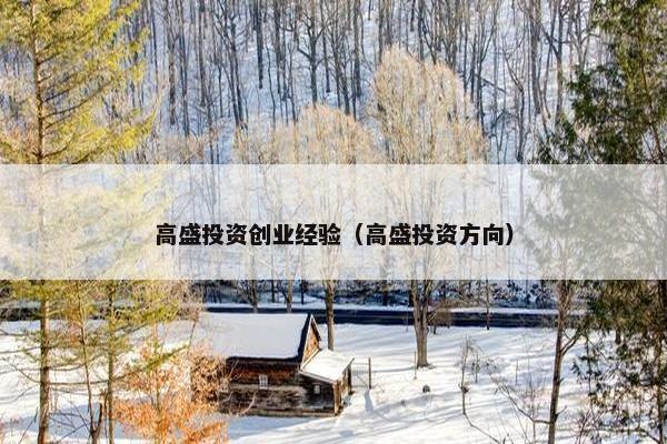 高盛投资创业经验（高盛投资方向）