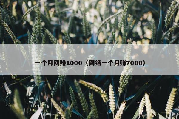 一个月网赚1000（网络一个月赚7000）