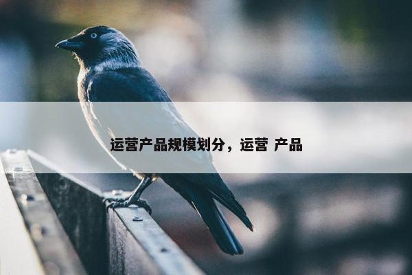 运营产品规模划分，运营 产品