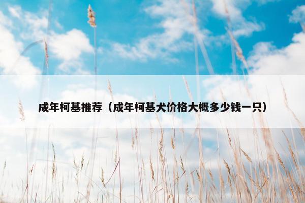 成年柯基推荐（成年柯基犬价格大概多少钱一只）