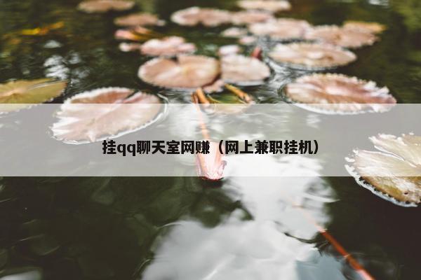 挂qq聊天室网赚（网上兼职挂机）