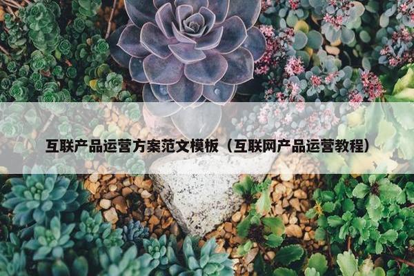 互联产品运营方案范文模板（互联网产品运营教程）