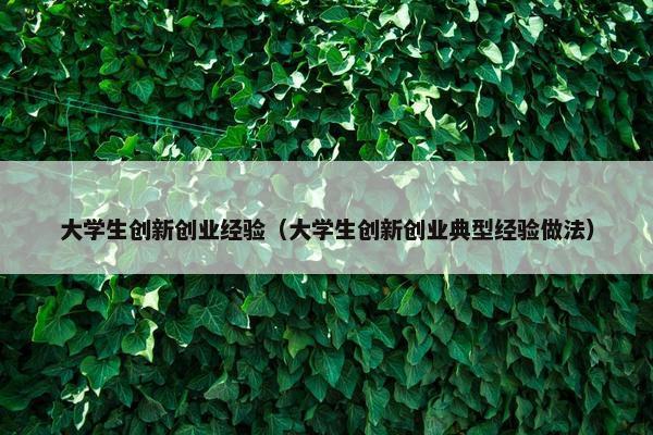 大学生创新创业经验（大学生创新创业典型经验做法）