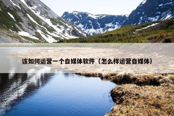 该如何运营一个自媒体软件（怎么样运营自媒体）