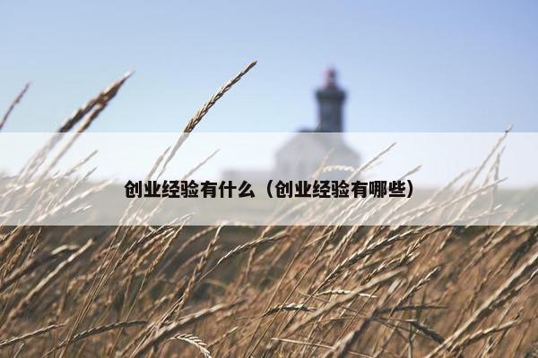 创业经验有什么（创业经验有哪些）
