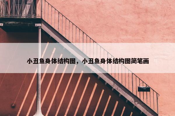 小丑鱼身体结构图，小丑鱼身体结构图简笔画