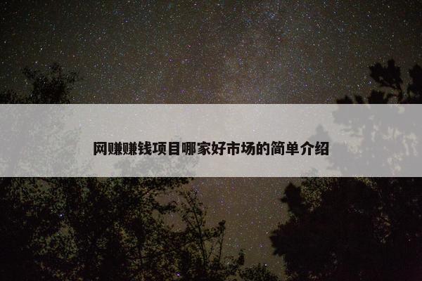 网赚赚钱项目哪家好市场的简单介绍