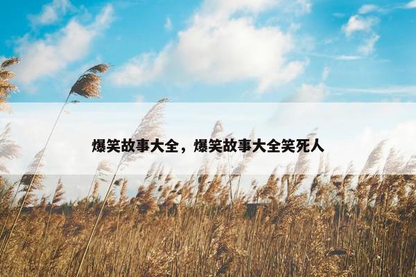 爆笑故事大全，爆笑故事大全笑死人