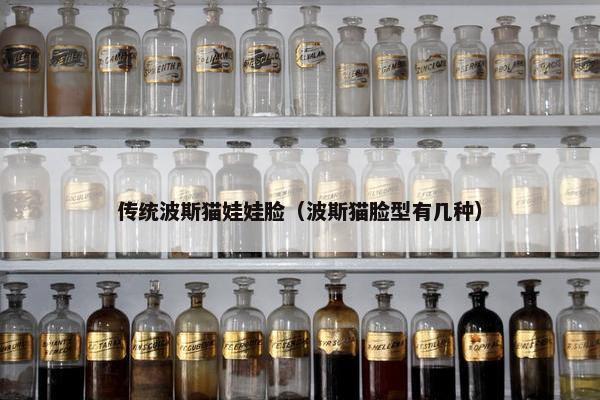 传统波斯猫娃娃脸（波斯猫脸型有几种）
