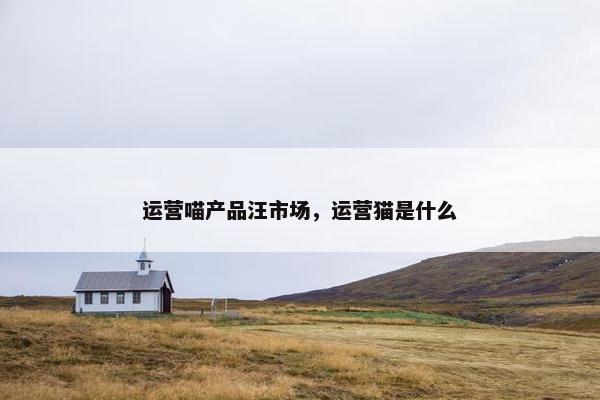 运营喵产品汪市场，运营猫是什么