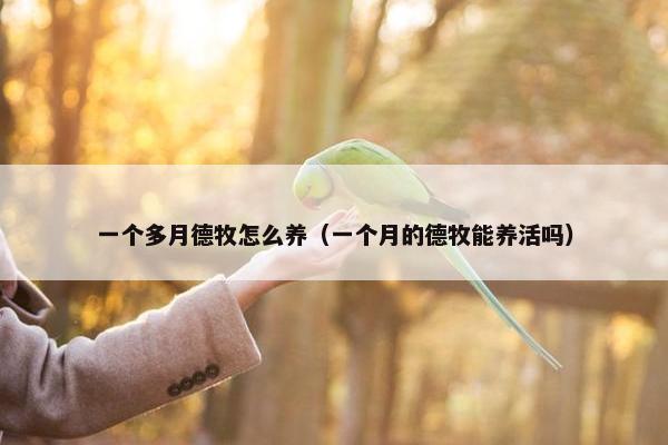一个多月德牧怎么养（一个月的德牧能养活吗）