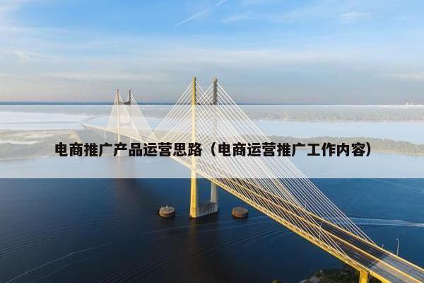 电商推广产品运营思路（电商运营推广工作内容）