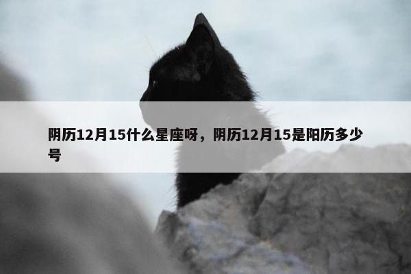 阴历12月15什么星座呀，阴历12月15是阳历多少号