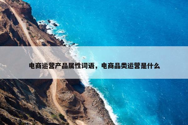 电商运营产品属性词语，电商品类运营是什么