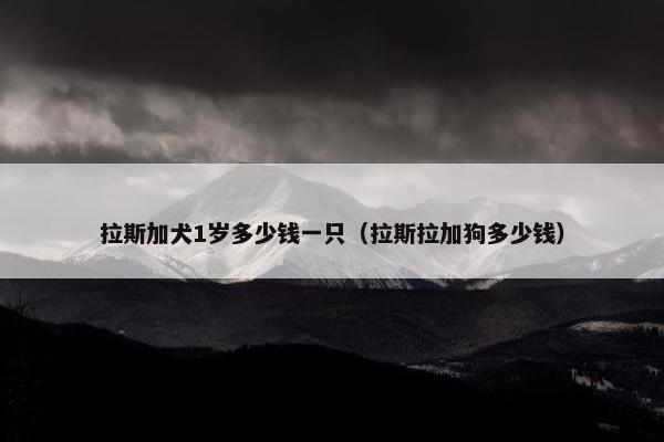 拉斯加犬1岁多少钱一只（拉斯拉加狗多少钱）