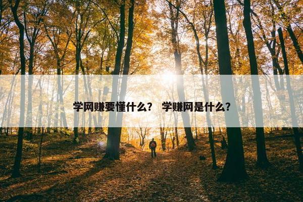 学网赚要懂什么？ 学赚网是什么？
