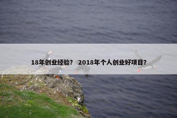 18年创业经验？ 2018年个人创业好项目？