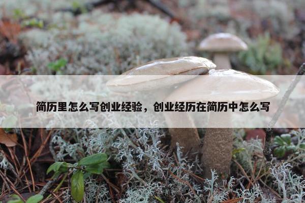 简历里怎么写创业经验，创业经历在简历中怎么写