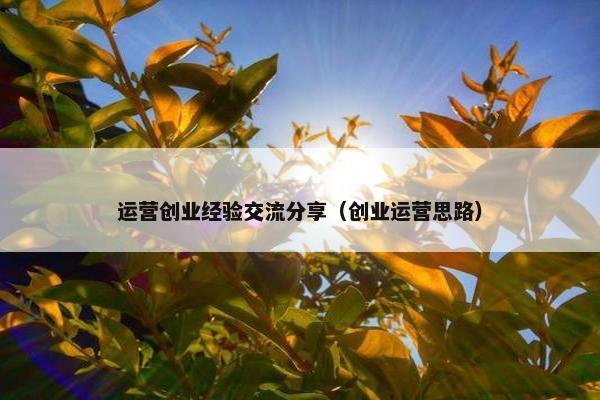 运营创业经验交流分享（创业运营思路）