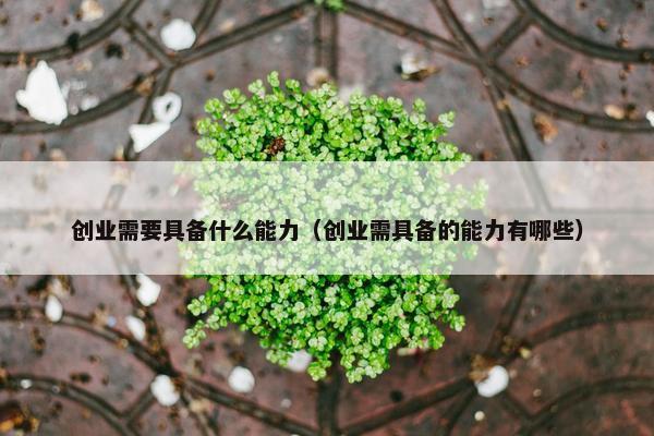 创业需要具备什么能力（创业需具备的能力有哪些）