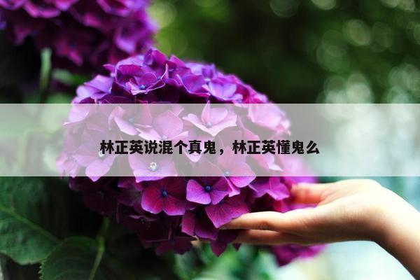 林正英说混个真鬼，林正英懂鬼么