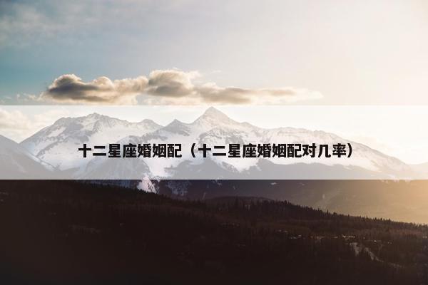 十二星座婚姻配（十二星座婚姻配对几率）