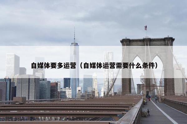 自媒体要多运营（自媒体运营需要什么条件）