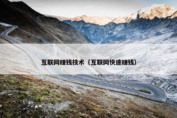 互联网赚钱技术（互联网快速赚钱）