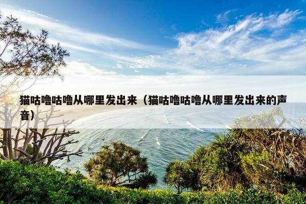 猫咕噜咕噜从哪里发出来（猫咕噜咕噜从哪里发出来的声音）