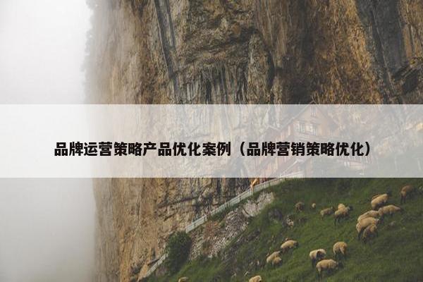 品牌运营策略产品优化案例（品牌营销策略优化）